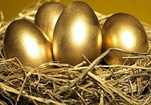 investment funds